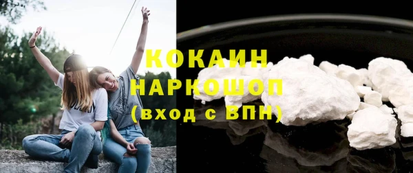 кокс Алексин